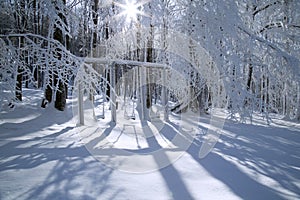 Snow swing