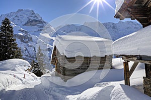 Snow in Swiss Alps