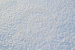 Snow Texture