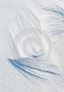 Snow texture