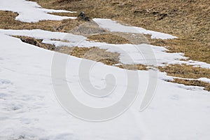 Snow texture on brown grass