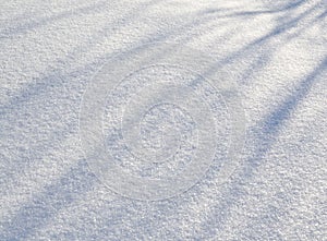 Snow texture white blue background