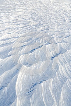 Snow texture. Wind sculpted patterns on snow surface.