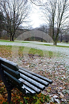 Snow at Tiergarten, Berlin photo