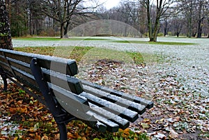 Snow at Tiergarten, Berlin photo