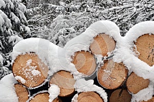 Snow on timber stack
