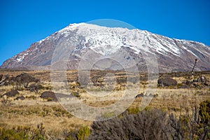 Snow on top of Mount Kilimanjaro