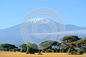 Snow on top of Mount Kilimanjaro