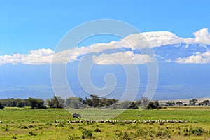 Snow on top of Mount Kilimanjaro