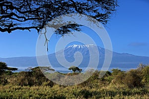 Snow on top of Mount Kilimanjaro in Amboseli