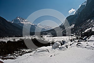 Snow topped mountains in Yumthang Valley.