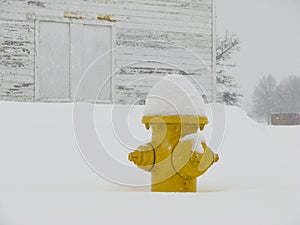 Snow topped yellow fire hydrant on winter day