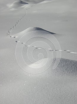 Snow traces