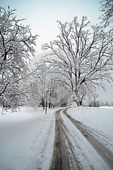 Snow trail