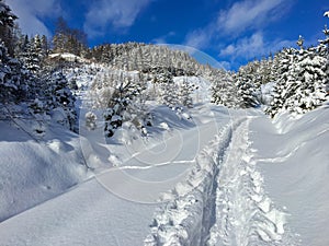 Snow trail, path made by people touring on skis in sunny winter