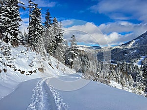 Snow trail, path made by people touring on skis in sunny winter