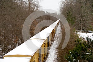 Snow Train