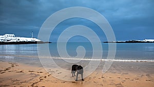 Snow on Trearddur Bay Beach in winter Isle of Anglesey North Wales