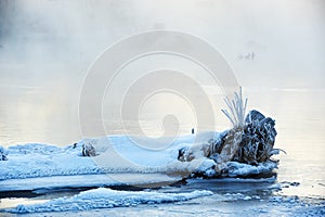 The snow and tree roots in riverside sunrise