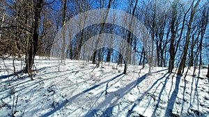 Snow with trees and shadows in winter Smokey mountains