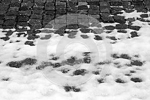 Snow on urban pavement in black and white