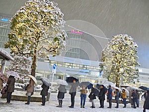 Winter Scene in Kichijoji District in Tokyo
