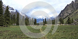 Snow View of XiaTa Grassland