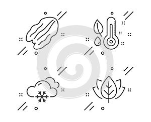 Snow weather, Pecan nut and Thermometer icons set. Organic tested sign. Snowflake, Vegetarian food, Grow plant. Vector