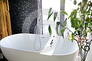 Snow-white acrylic bathroom  with  green decor with bamboo branches