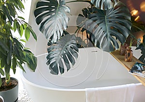 Snow-white acrylic bathroom and green palm leaves