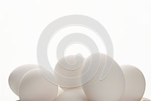 Snow white eggs