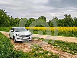 Snow-white passenger car near a bright yellow field with blooming canola