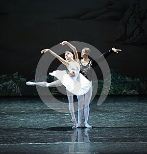 Snow white and Prince Charming-The last scene of Swan Lake-ballet Swan Lake