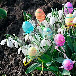Snow-white snowdrops and decorative eggs on spring background. Easter composition