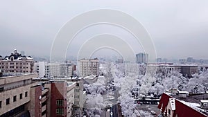 Snow-white trees among the stone houses of city.