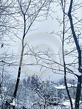 Snow winter blizzard, footprint on the snow. Festive mood, happy new year.Chinese New Year  happy new year.