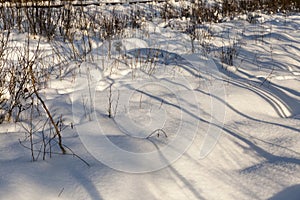 snow in winter frozen and cold, nature after snowfall