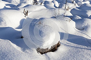 snow in winter frozen and cold, nature after snowfall