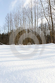 snow in winter frozen and cold, nature after snowfall