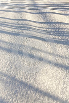 snow in winter frozen and cold, nature after snowfall