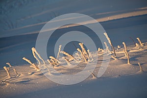 Snow winter impression, freezing ice details