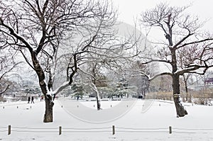 Snow in the winter landscape of field on a cloudy day