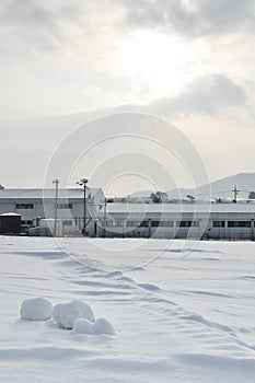 Snow in the winter landscape of field on a cloudy day