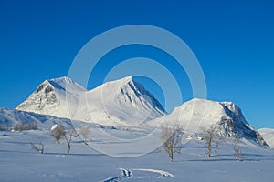 Snow winter in the mountains of Sweden, Sarek and Abisko