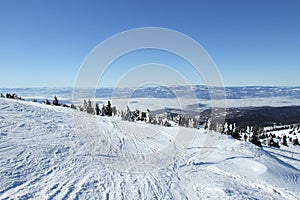 Snow winter scene on Kopaonik