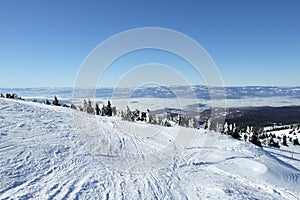 Snow winter scene on Kopaonik photo