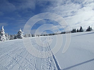 Snow winter scene Kopaonik mountain photo