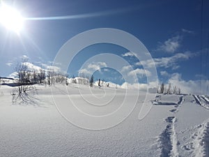 Snow, winter, sun, great views located on the Kola Peninsula in winter, nature.