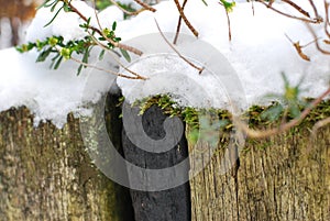Snow on a wooden flower bed border