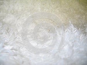 Snowball - fluffy floor monochrome